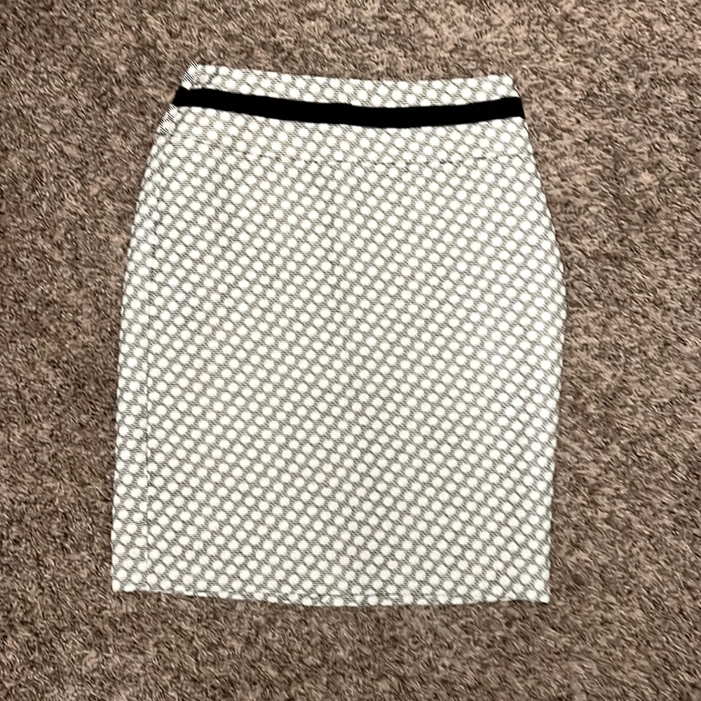The Limited Women’s Skirt